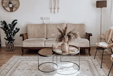 Sofa mit Pflanzen, Vasen und Teppich in modernem Raum.