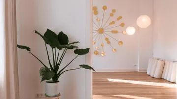Topfpflanze steht am Eingang, Licht und Dekoration im Raum.