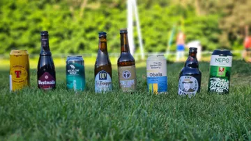 Bierflaschen stehen auf Gras, umgeben von Natur.