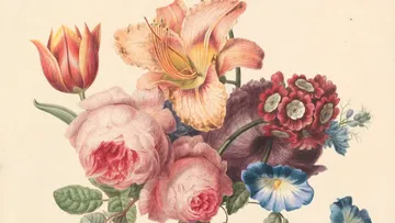 Bunte Blumenanordnung zeigt verschiedene Arten in harmonischer Komposition.