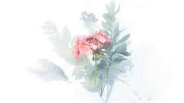 Blume steht, umgeben von verschwommenem Grün und Wasser.