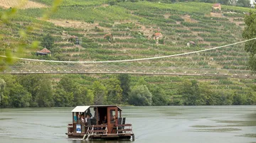 A boat sails on a river between vineyards and trees.