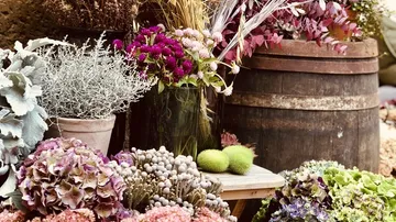 Trockenblumen in Vasen und Körben, dekorative Anordnung.