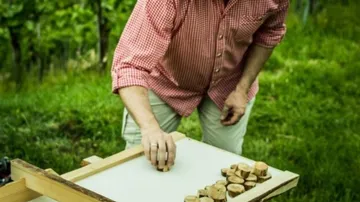 Mann platziert Holzstücke auf einer Arbeitsfläche im Freien.