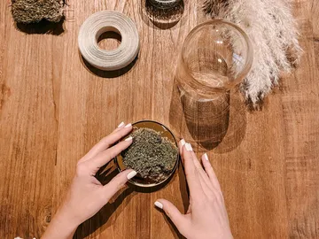 Hands hold a moss plate on a wooden table.