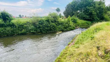 A river flows through green riparian vegetation under blue skies.