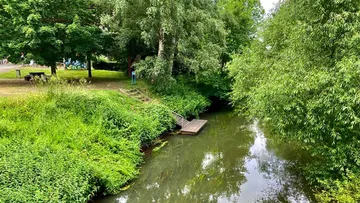 Ein kleiner Steg am ruhigen Fluss, umgeben von Bäumen.