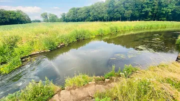 A quiet river flows through a green meadow.