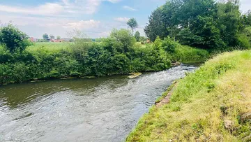 Fluss fließt ruhig entlang bewachsenen Uferbereich unter blauem Himmel.