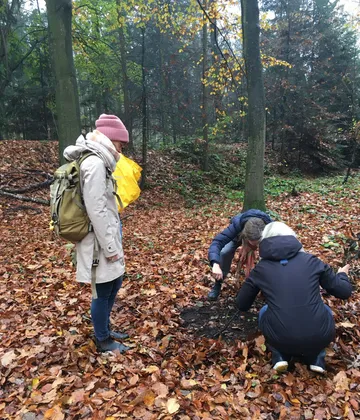 Three people are examining the soil in the deciduous forest.