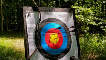 Target with arrows in the forest surrounded by trees.