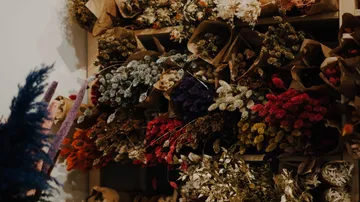 Getrocknete Blumen in Papiertüten, angeordnet an einer Wand.