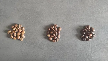 Drei Kaffeebohnensorten liegen auf grauem Untergrund.