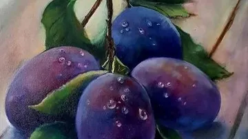 Four clumsy plums hang from a branch with leaves.