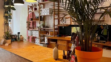 Großer Topf mit Pflanze auf Holztheke in einem Café.