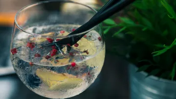 Ein Glas mit Getränk enthält Eis, Zitrone und Pfefferbeeren.