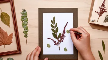 Hands create artwork with dried plants on paper.