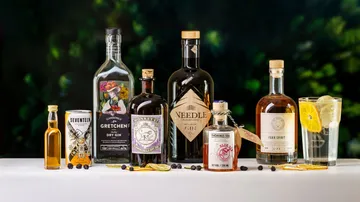 Verschiedene Gin-Flaschen stehen auf einem Tisch mit Zitrone.