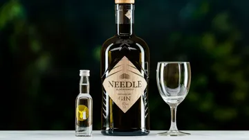Flasche Gin steht neben Glas und kleiner Flasche.