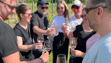 Gruppe anstößt mit Gläsern in einem Weinberg.