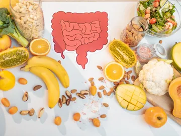 Buntes Obst und Gemüse um eine Darstellung des Darms.