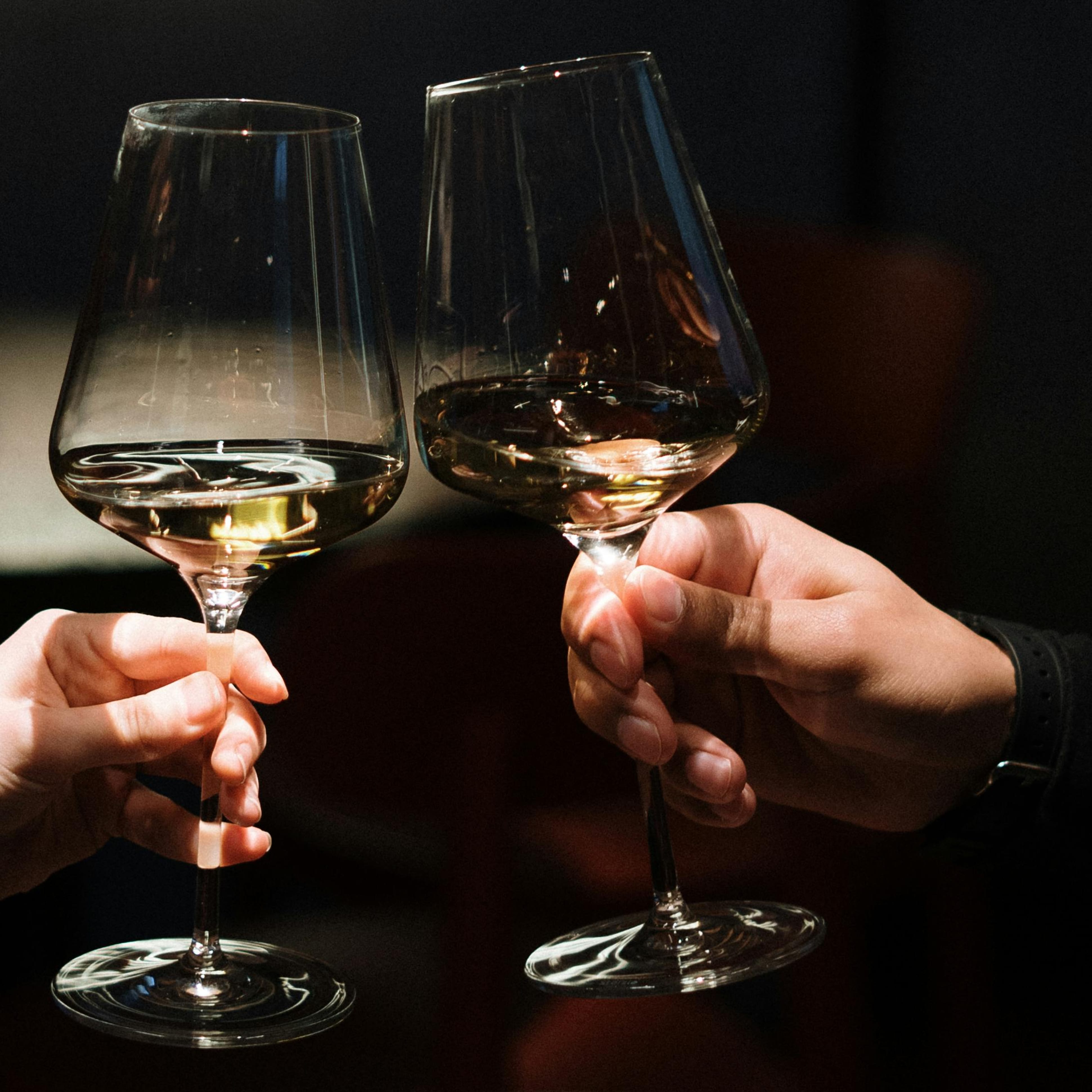 Wein und Käse Tasting in Frankfurt