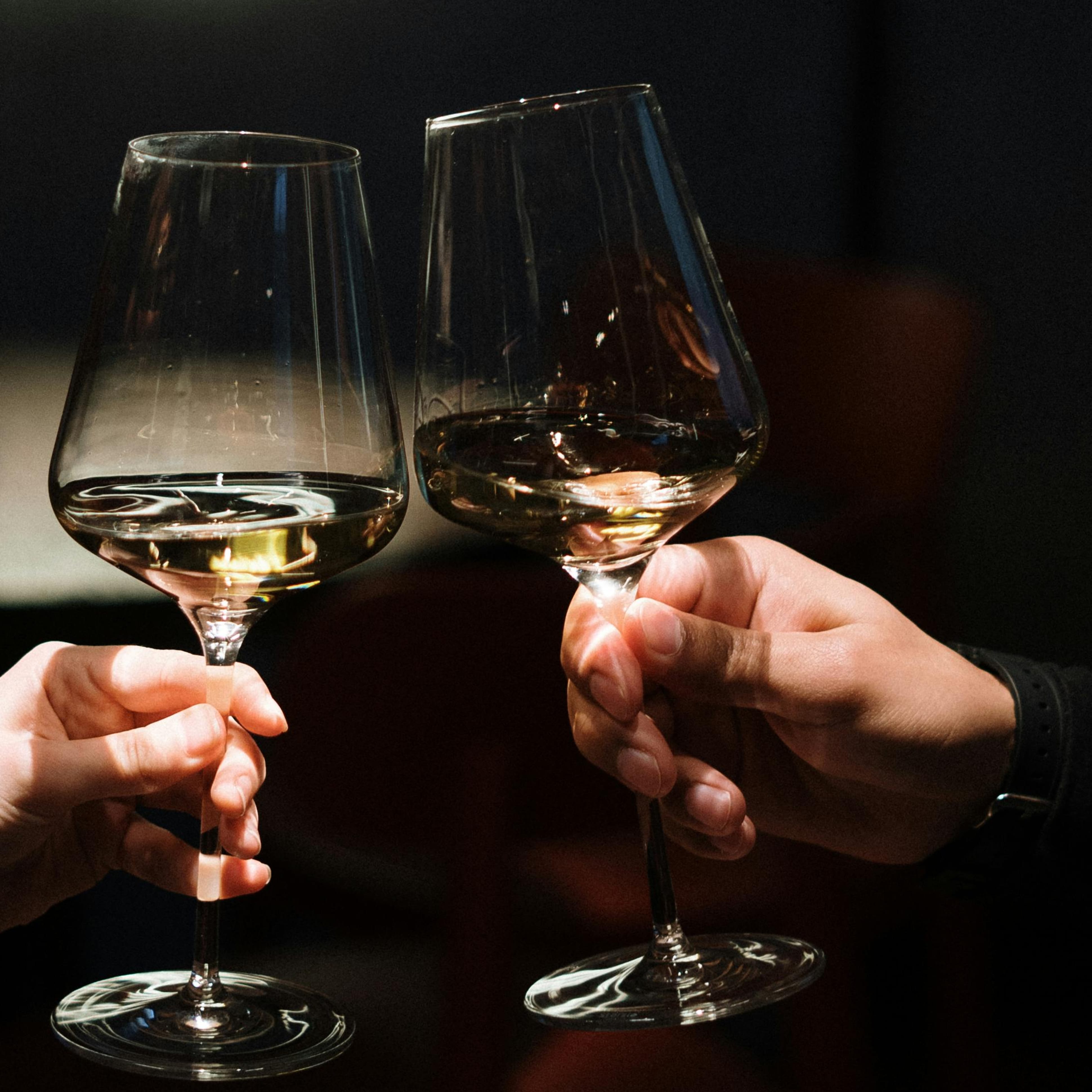 Einsteiger Wein Tasting in Frankfurt