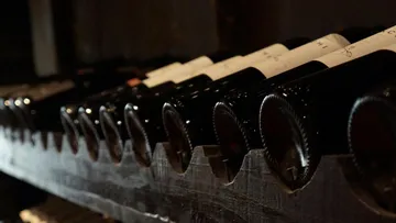 Bottles lie on shelves in a dark cellar.