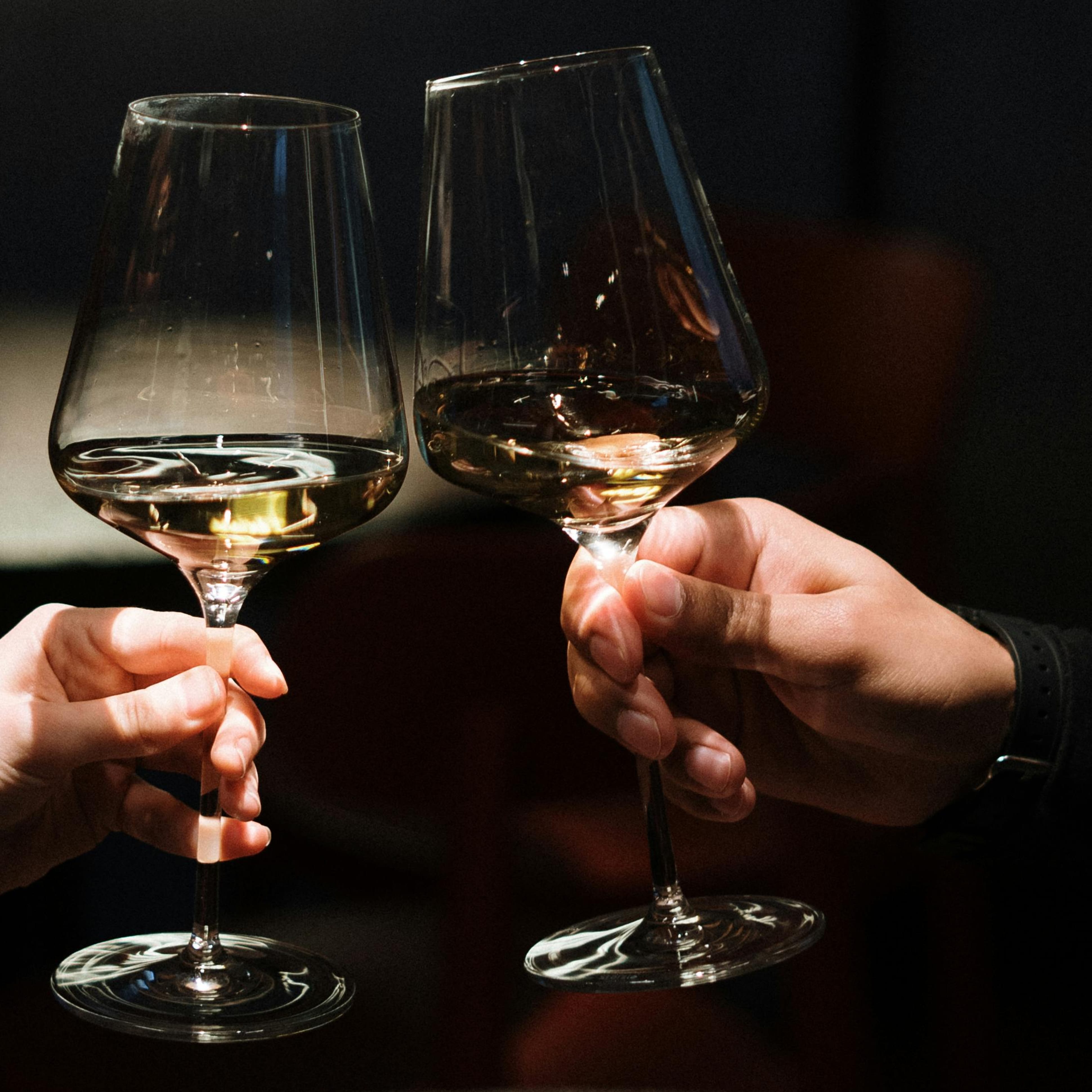 Einsteiger Wein Tasting in Düsseldorf