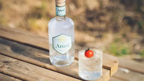 Flasche mit Wodka neben einem Glas mit Eis und Tomate.