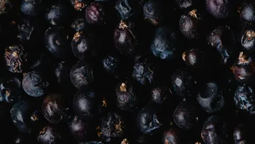 Dark berries lie close together on a surface.