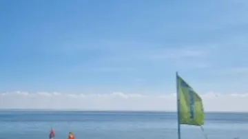 A green flag is flying on the beach near the water.