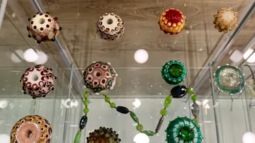 Alles rund um Dots