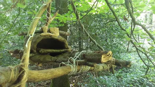 Hut made of branches hangs between trees in the forest.