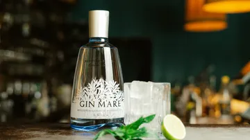 Gin bottle stands next to ice cubes, lime and herbs.