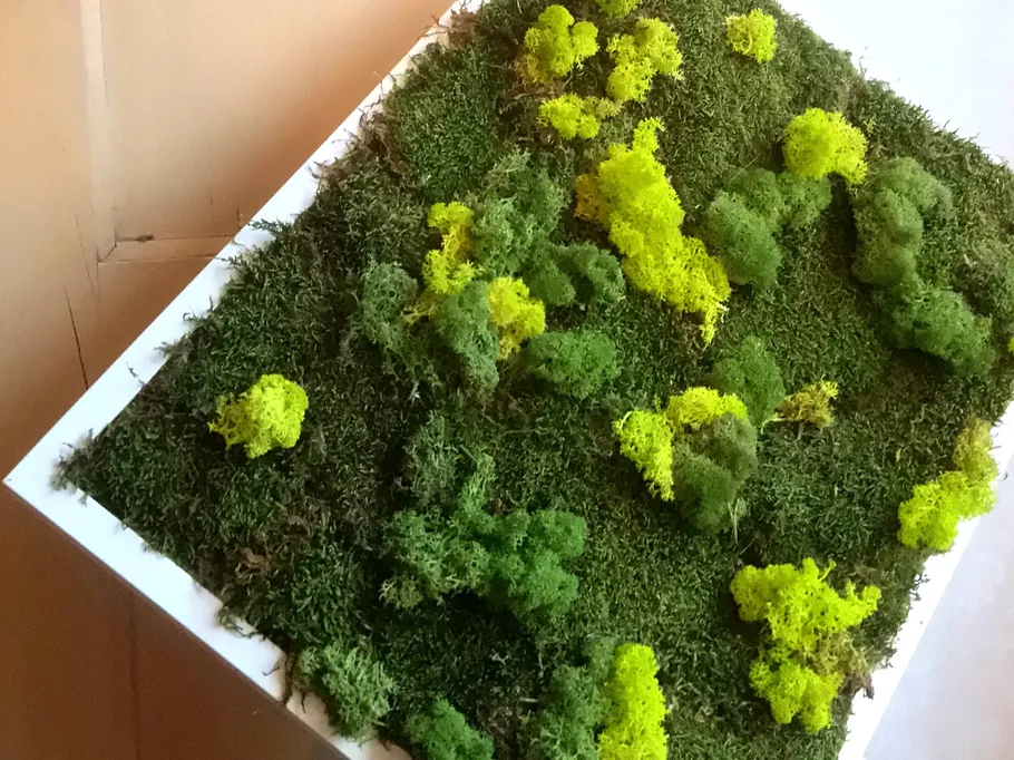 Green moss-covered table with bright yellow plants.