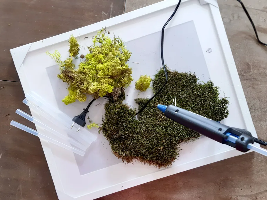 Moss is lying on a table while hot glue is being used.