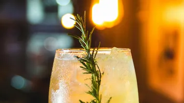 A drink with ice and rosemary in warm light.