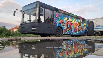 Graffiti bus is reflected in a puddle surrounded by vegetation.