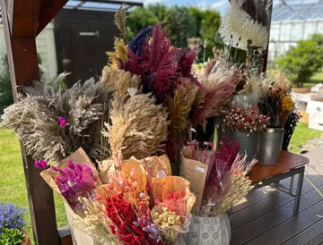 Trockenblumen stehen bunt arrangiert auf einem Tisch.