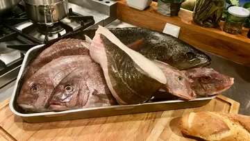 Fische in einer Schale, bereit zum Kochen in der Küche.