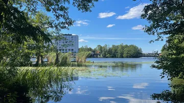 See mit Pflanzen, Wohnungshäusern und blauem Himmel im Hintergrund.