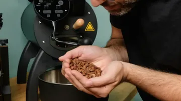 Geröstete Kaffeebohnen werden von einer Person gehalten.