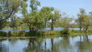 Wasserfläche reflektiert Bäume und Schilder am Ufer.