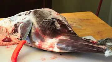 Pork head lies on a cutting board, is cut.