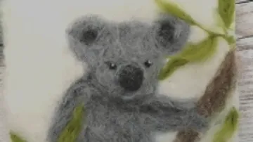 Grauer Koala hält sich an einem Baumzweig fest.