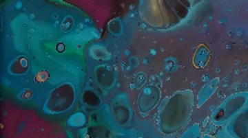 Colourful, fluid forms float in an abstract image.