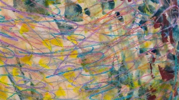 Colourful lines and colours flow across a bright surface.