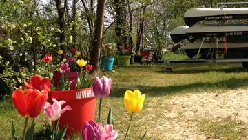Colourful tulips stand in flower pots while canoes store.