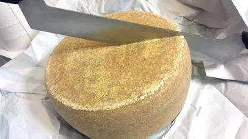 A large cheese is cut with a knife.